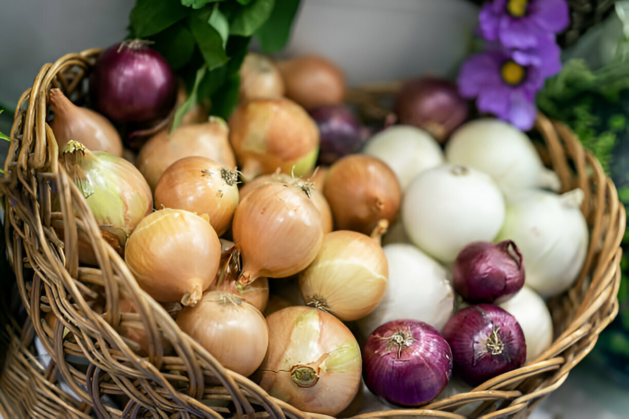 Allium Vegetables