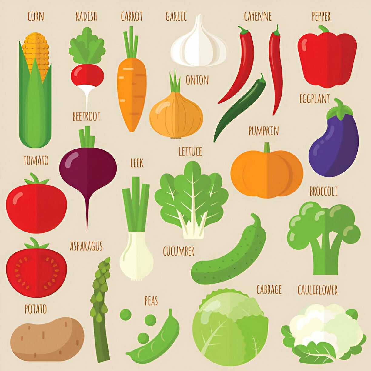 vegetables names in english