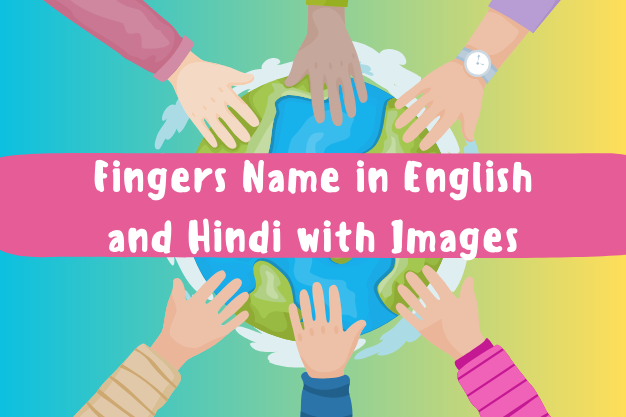 Fingers Name in English and Hindi with Images