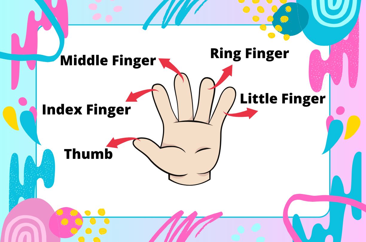 finger name in english