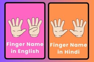 Fingers Name in English and Hindi with Images